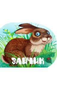 Зайчик