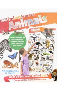 DKfindout! Animals Poster. Wall Chart