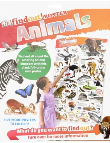 DKfindout! Animals Poster. Wall Chart