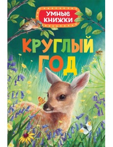 Круглый год