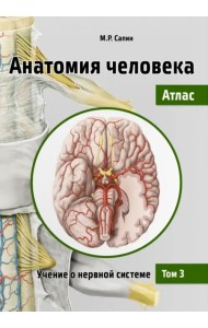 Анатомия человека. Атлас. Учебное пособие. В 3-х томах. Том 3. Учение о нервной системе