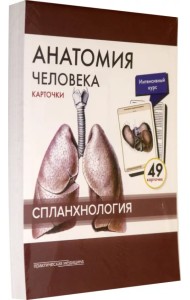 Анатомия человека. Спланхнология. Карточки (49 шт.)