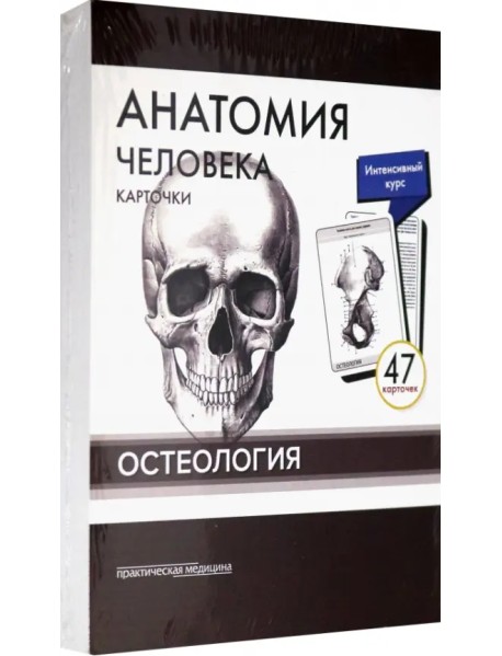 Анатомия человека. Остеология (47 карточек)