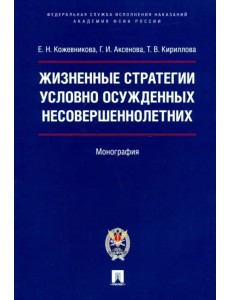 Жизненные стратегии условно осужденных несовершеннолетних. Монография