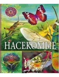 Насекомые