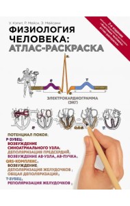 Физиология человека. Атлас-раскраска