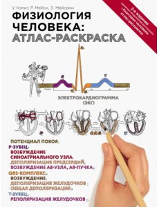 Физиология человека. Атлас-раскраска