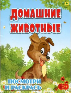 Домашние животные. Детская раскраска