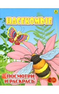 Насекомые. Детская раскраска
