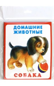 Набор карточек 