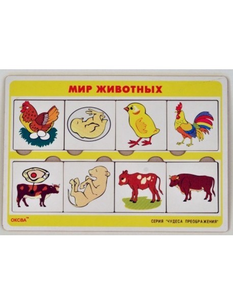 Чудеса преображений "Мир Животных"