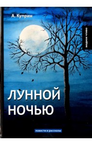 Лунной ночью