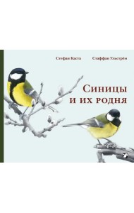 Синицы и их родня