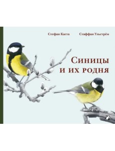 Синицы и их родня