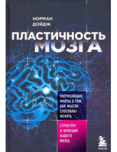 Пластичность мозга. Потрясающие факты о том, как мысли способны менять структуру нашего мозга Пластичность мозга. Потрясающие факты о том, как мысли способны менять структуру нашего мозга