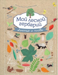 Мой лесной гербарий