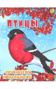 Птицы. Детская раскраска