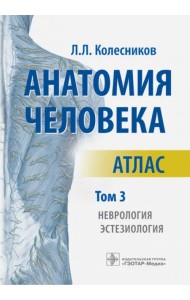 Анатомия человека. Атлас. В 3-х томах. Том 3. Неврология, эстезиология