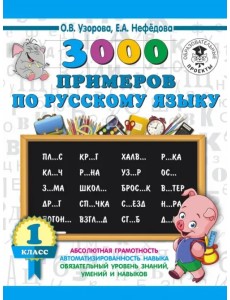 Русский язык. 1 класс. 3000 примеров