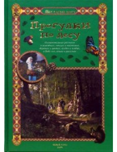 Прогулки по лесу