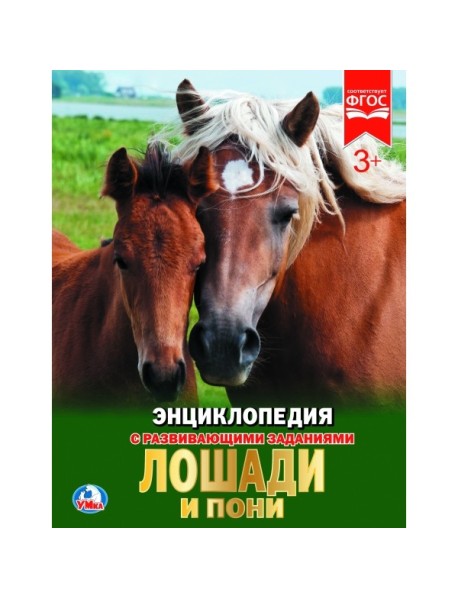 Лошади и пони