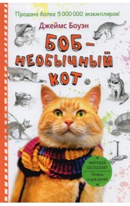 Боб - необычный кот