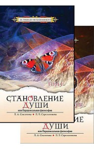 Становление души, или Парадоксальная философия. Том 1 и 2 (количество томов: 2)