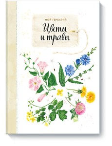 Мой гербарий. Цветы и травы Мой гербарий. Цветы и травы