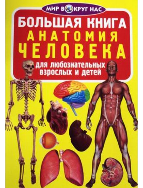 Большая книга. Анатомия человека. Для любознательных взрослых и детей
