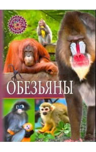 Обезьяны