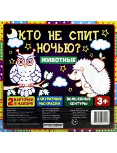 Кто не спит ночью? Животные