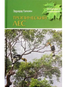 Тропический лес