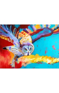 Раскраска по номерам на картоне. Полет совы, 30х40 см