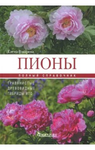 Пионы: травянистые, древовидные, гибриды ИТО. Полный справочник