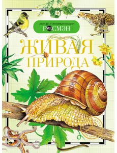 Живая природа