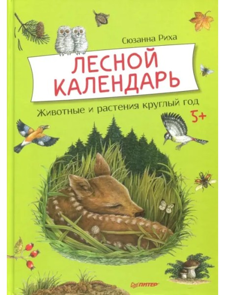 Лесной календарь. Животные и растения круглый год