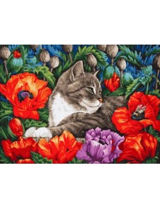 Живопись на холсте. Кот в маках, 30x40 см Живопись на холсте. Кот в маках, 30x40 см
