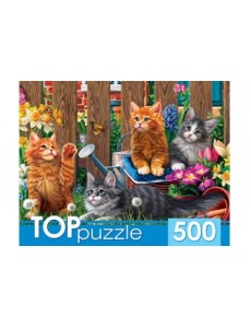 Пазлы "Toppuzzle. Котята мейн-кун", 500 элементов