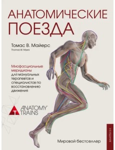 Анатомические поезда Анатомические поезда