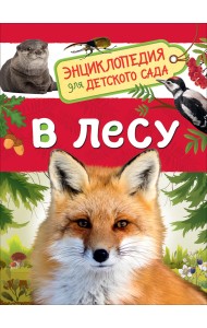 В лесу. Энциклопедия для детского сада