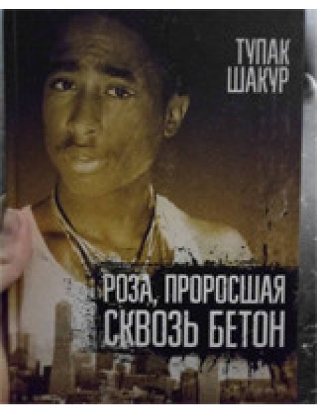 Роза, проросшая сквозь бетон