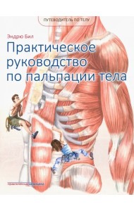 Путеводитель по телу. Практическое руководство по пальпации тела