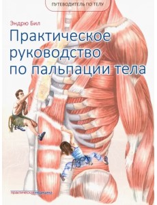 Путеводитель по телу. Практическое руководство по пальпации тела Путеводитель по телу. Практическое руководство по пальпации тела