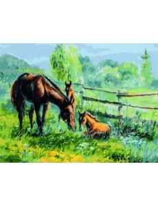 Набор для рисования по номерам. Полуденный зной, 30х40 см Набор для рисования по номерам. Полуденный зной, 30х40 см