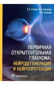 Первичная открытоугольная глаукома. Нейродегенерация и нейропротекция