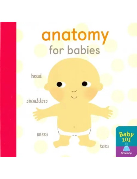 Anatomy for Babies