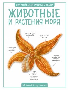 Животные и растения моря