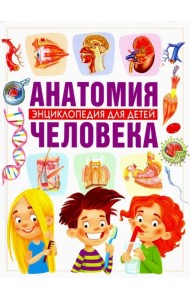 Анатомия человека. Энциклопедия для детей