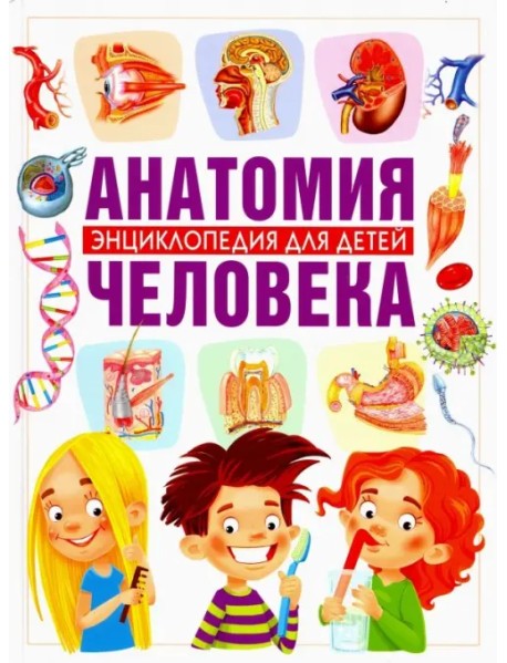 Анатомия человека. Энциклопедия для детей