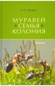 Муравей. Семья. Колония